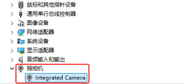 确认摄像头被系统识别
